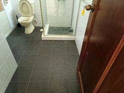Parkshore (D15), Condominium #530298631
